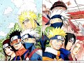kakashi gaiden  manga    kimi to iu hana