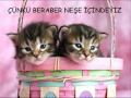 kürtce damar ez aske teme