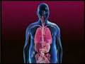 diabetes mellitus part1 diabetes mellitus part1