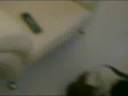 luka kallejera
