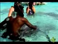 Is it safe to swim with Stingrays?