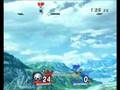 滑空のコネタと遊び