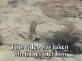 Lions affection Lions affection