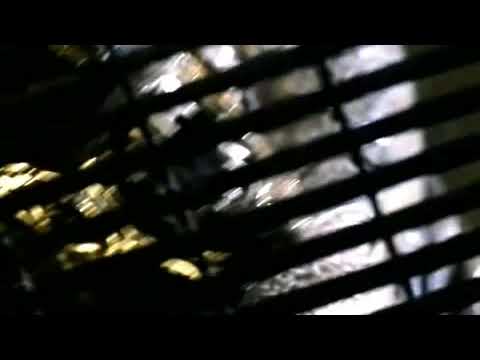 Imagen de previsualización de YouTube
