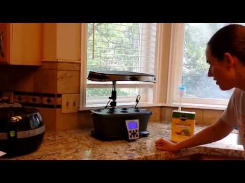 how to harvest aerogarden herbs