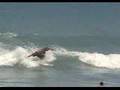 HOBE SOUND SURF.COMmercial