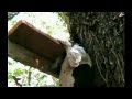 http://www.youtube.com/watch?v=LyQ5o-TZrEw