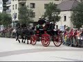 horses de Panne , vandewalleke