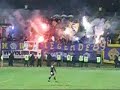 viole maribor
