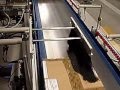 Print and Apply Carton Content and Shipping Labels