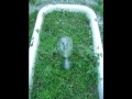 Fairyboy - IAM/IAMNOT.avi
