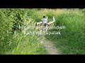 HINDI AKO IIYAK - Sussana Pichay - free flv video @ vwatch.tv