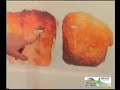 Il Fiume e le antiche civilt� (11/2007) Pro Loco Cornate d\