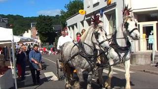 1er festival Gallo Romain de LILLEBONNE