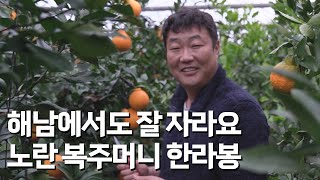 농촌진흥청 청년농업인TV