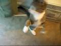 Earl Addicted To Fetching Toy Mouse Part 2