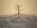 XNA Test 13 - High polygon count and post processing