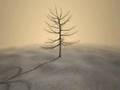 XNA Test 13 - High polygon count and post processing