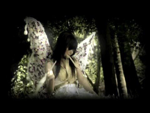 Video de Pobre Duende de Babasónicos