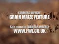 Grain-maize-agronomy