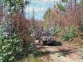 videos de Panda 4x4 Dedicatória