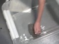 Inpoldering