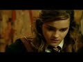 Harry Potter - Bixa (Redublado/Redublagem/Dublado)