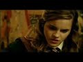 Harry Potter - Bixa (Redublado/Redublagem/Dublado)