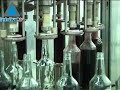 Des vendanges � la bouteille. Un regard sur la fabrication du vin en Isra�l.