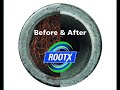 RootX RootX