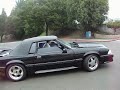 CLEANEST MUSTANG 5.0 DANCING AROUND INTERSECTION