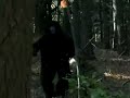 DEAD HIKER\