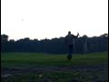 Vluchtende giraffen