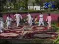 videos de hamayoun angaar ( national attan ) cha ta ma waya haloona a