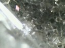 Salt Crystal Formation #4