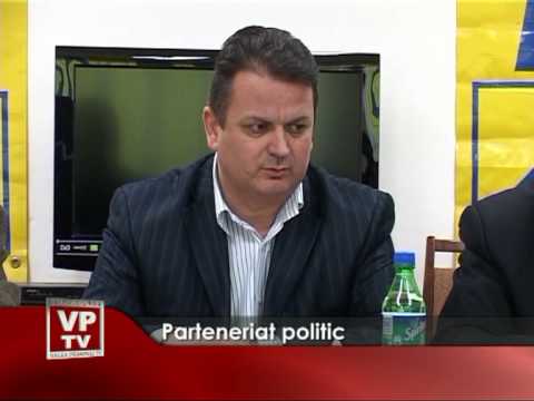Parteneriat politic