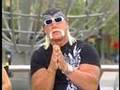 Buzz-Hulk-Hogan-Inte