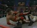 AJ Styles Tribute *MV*