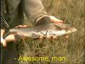 Grayling fight Harr-eventyr