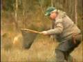 Grayling fight Harr-eventyr