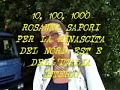 IL NORD EST DI ROSANNA SAPORI