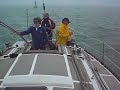 un dauphin à DUNKERQUE