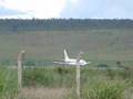 Sucatinha FAB Take OFF 29L SBBR