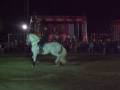 feria del caballo 008