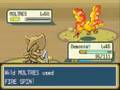 Legendary-Birds-caug