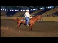 Horse Training: Controlling the Horse's Shoulder