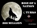 Turkic World