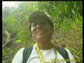 RainForest 2004 parte 4 == Su4x4.com== RainForest 2004 parte 4 == Su4x4.com==