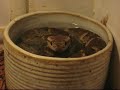 Luray Zoo & Reptile Center