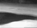 Lions on Africam (Part 3)